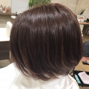 S__13672453