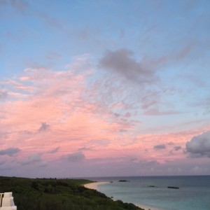 IMG_6994