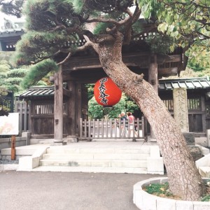 S__48939013